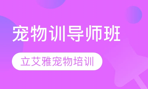 宠物训导师班