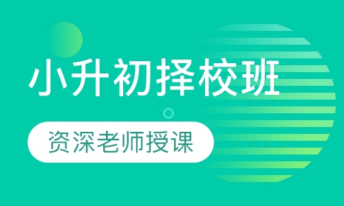 小升初择校班