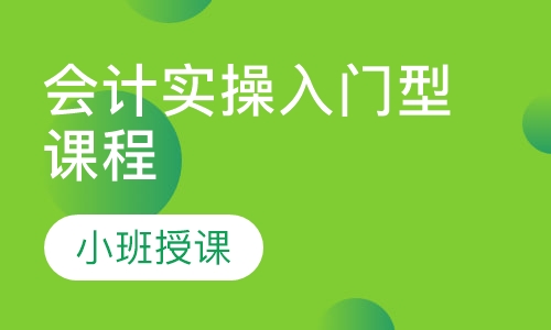 会计实操入门型课程
