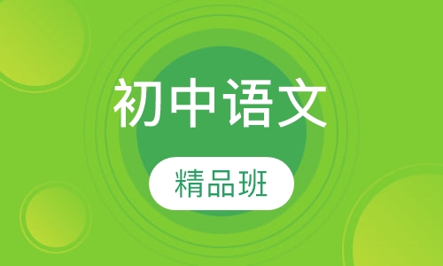 初中语文精品班