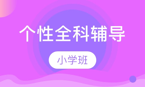 个性全科辅导