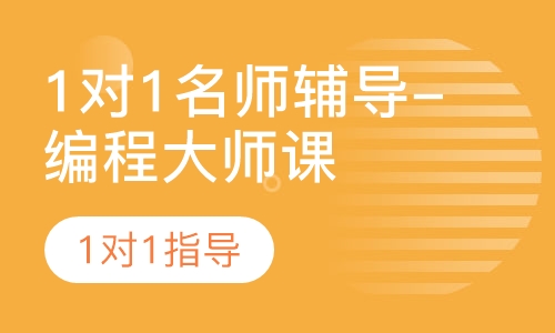 1对1名师辅导-编程大师课