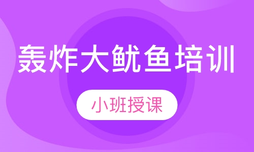 轰炸大鱿鱼培训