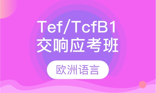 交响Tef/Tcf B1应考班