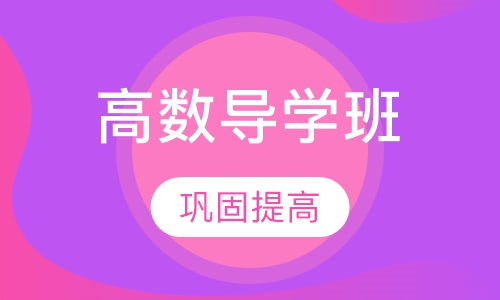 高数导学班