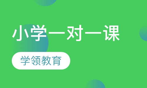 小学一对一课