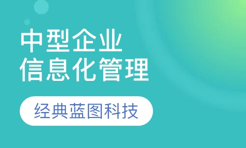 中型企业信息化管理