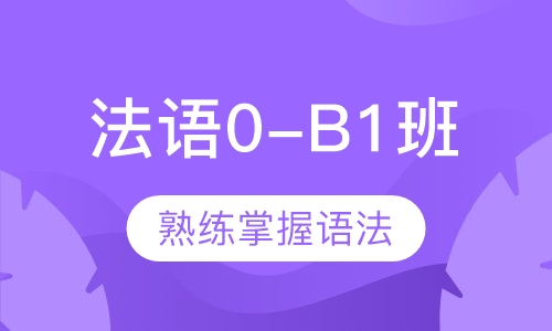 爱法语0-B1直达课程班