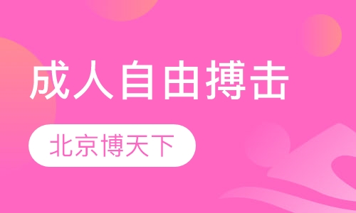 成人自由搏击