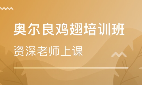 奥尔良鸡翅培训班