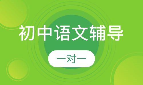初中一对一语文辅导
