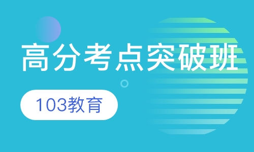 高分考点突破班