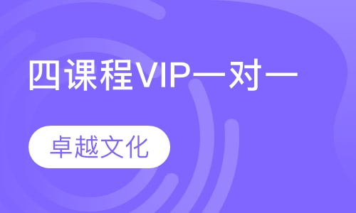 卓越文化小学四年级课程VIP一对一