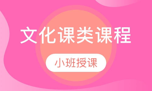 文化课类课程
