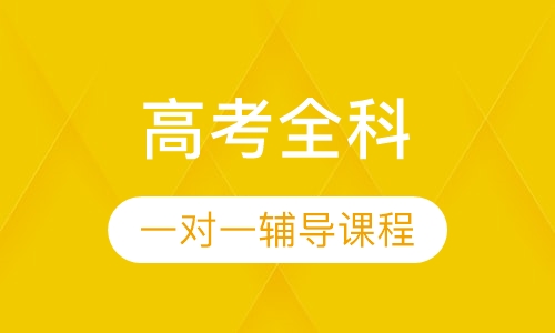 高考全科一对一个性化辅导课程