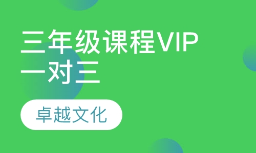 卓越文化小学三年级课程VIP一对三