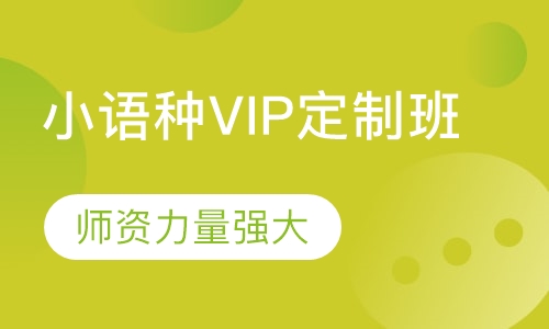 小语种VIP定制班