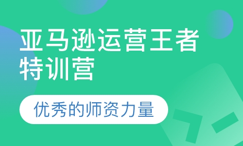 亚马逊运营王者特训营