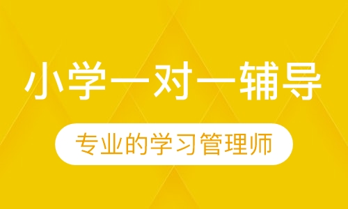 小学一对一辅导