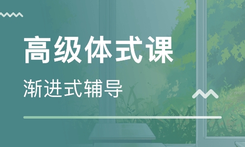 瑜伽高级体式课