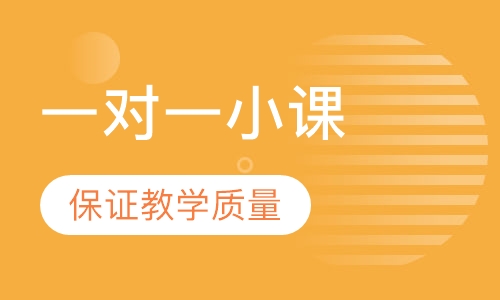 一对一小课
