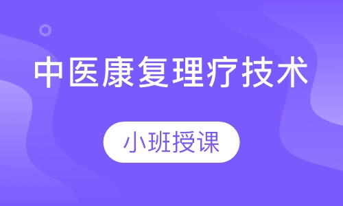 中医康复理疗技术