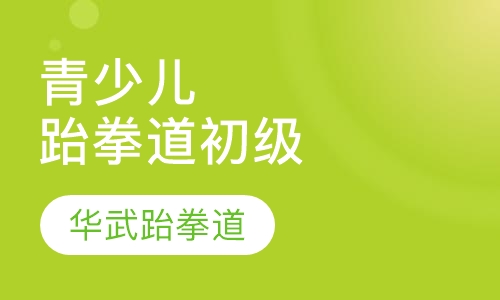 青少儿跆拳道初级班