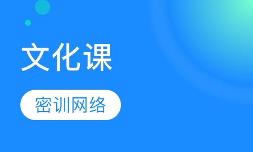 文化课小班辅导