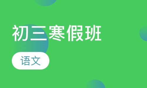 初三语文寒假班