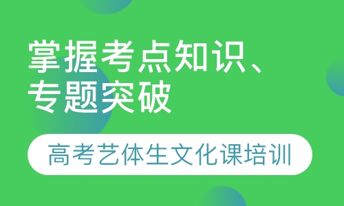 高考艺体生文化课培训