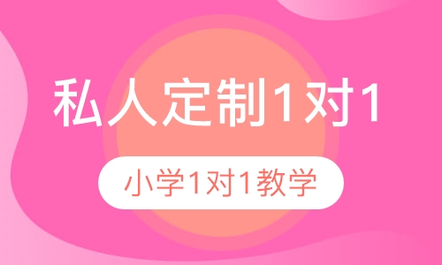 私人定制1对1