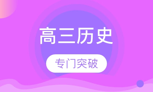 高三历史特色辅导课程