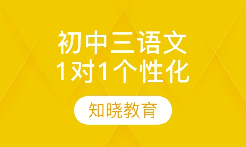 初中三年级语文 1对1个性化辅导