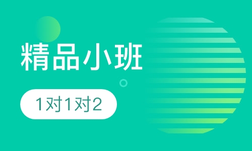 1对2、1对N精品小班