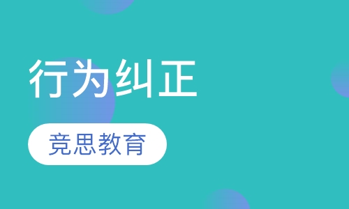 行为纠正