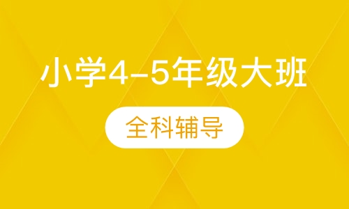 小学4-5年级大班