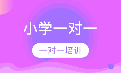 小学一对一辅导
