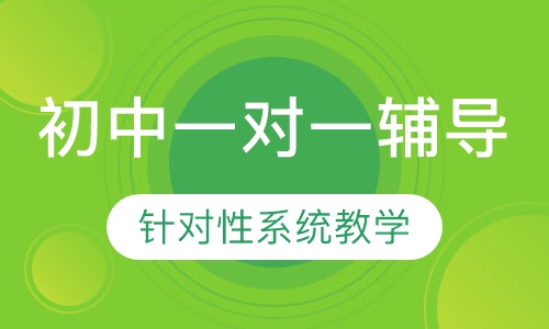 初中名校名师一对一辅导