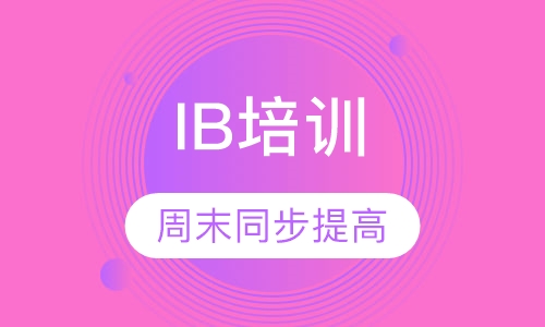 IB 1V1或2-4人小班 周末同步提高课程
