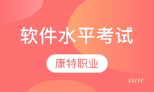 软件水平考试