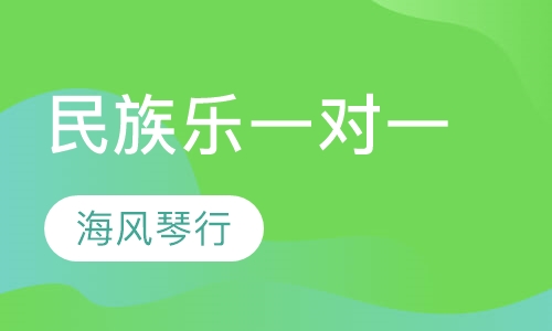 民族乐一对一