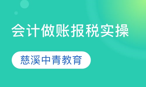 会计做账报税实操