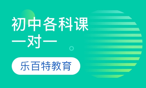 初中各科课程钻石一对一