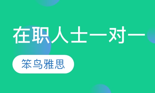 在职人士一对一