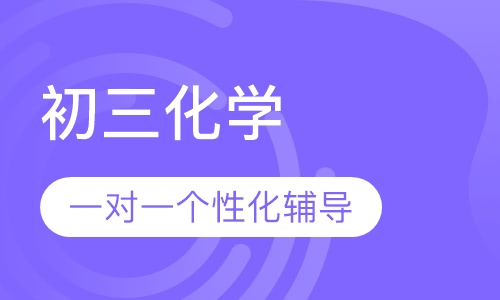 初三化学一对一辅导