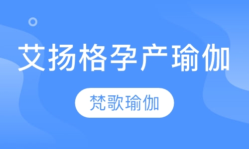 艾扬格*孕产瑜伽