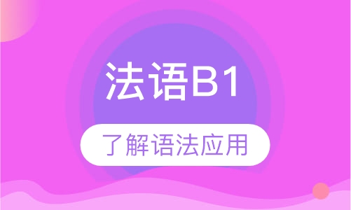 法语三级B1培训