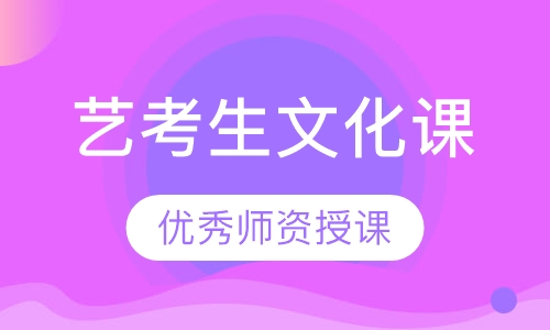艺考生文化课