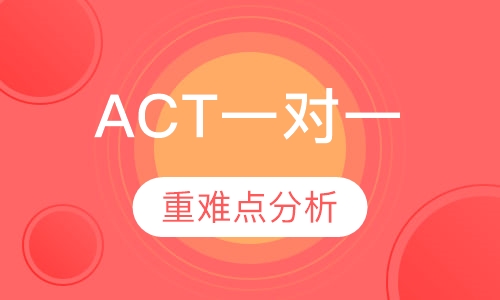ACT一对一