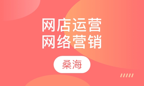 网店运营与网络营销
